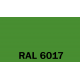 3.RAL 6017